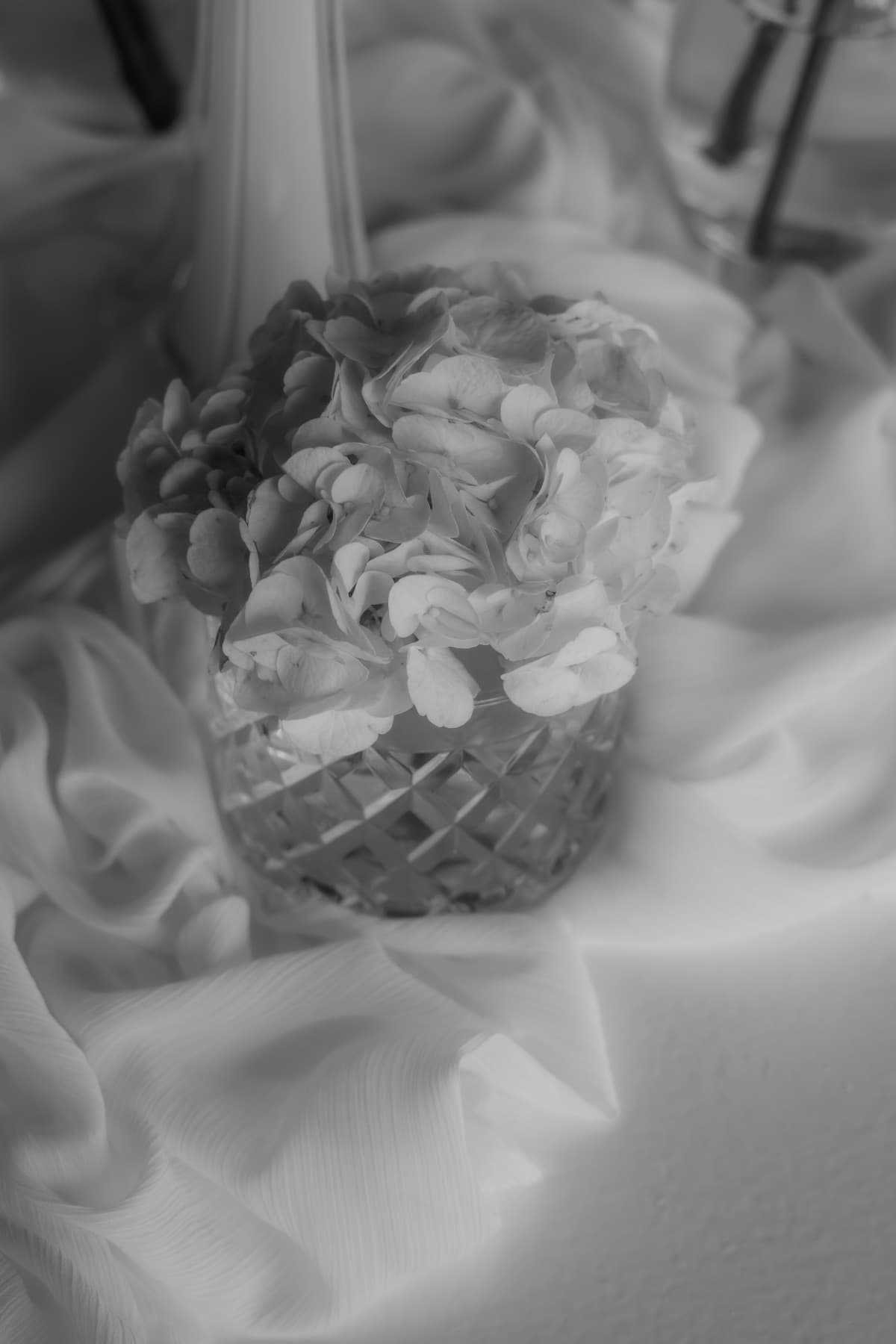 H & A , photo 4