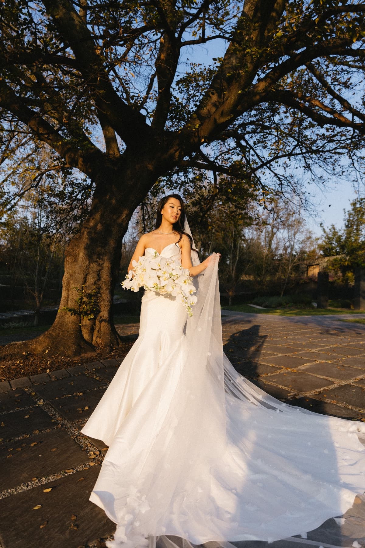 S & J , photo 3