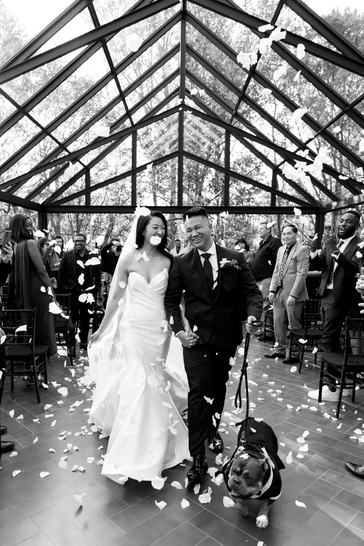 S & J , photo 78